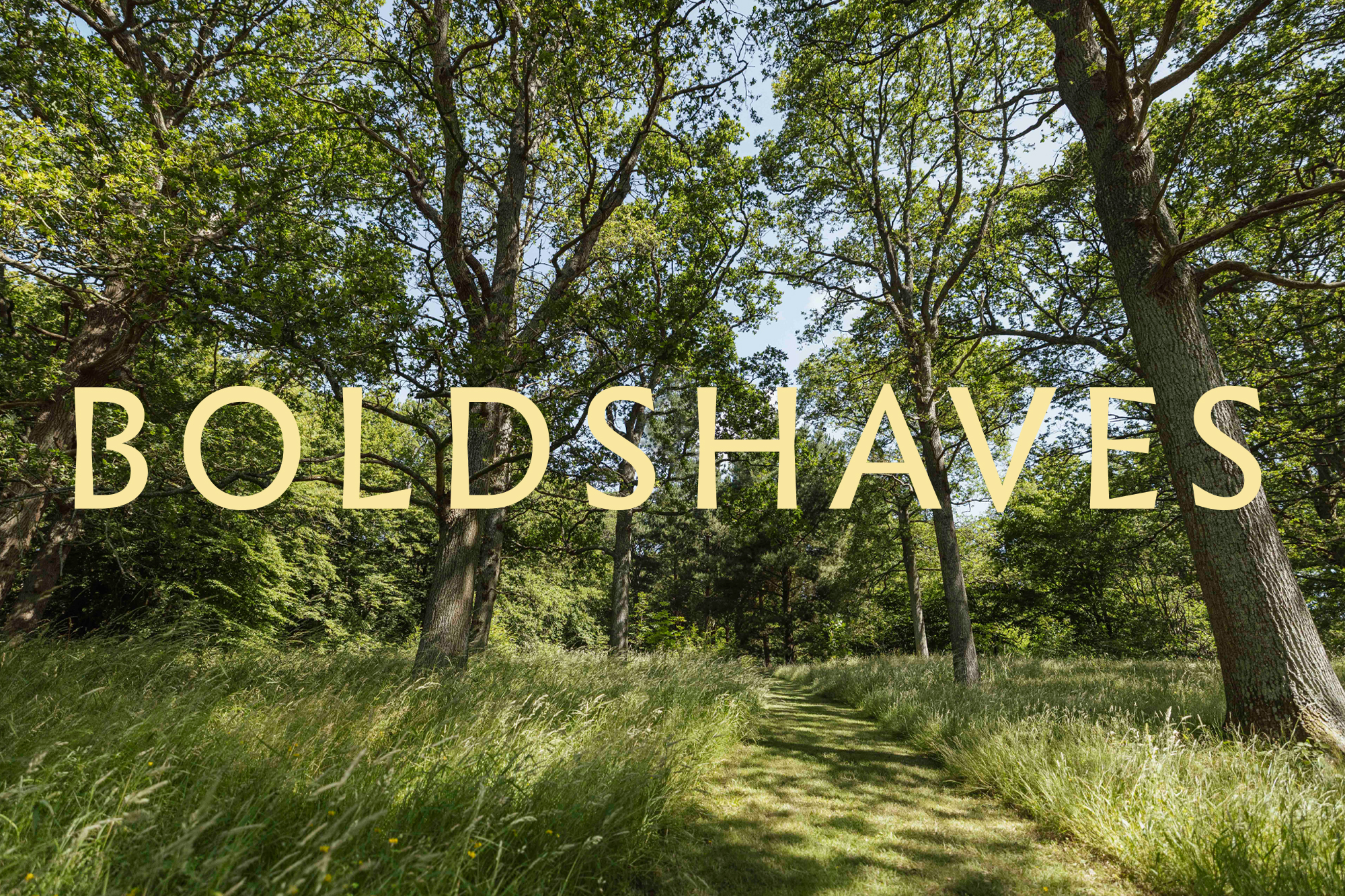 A home for stories, gatherings and moments of connection