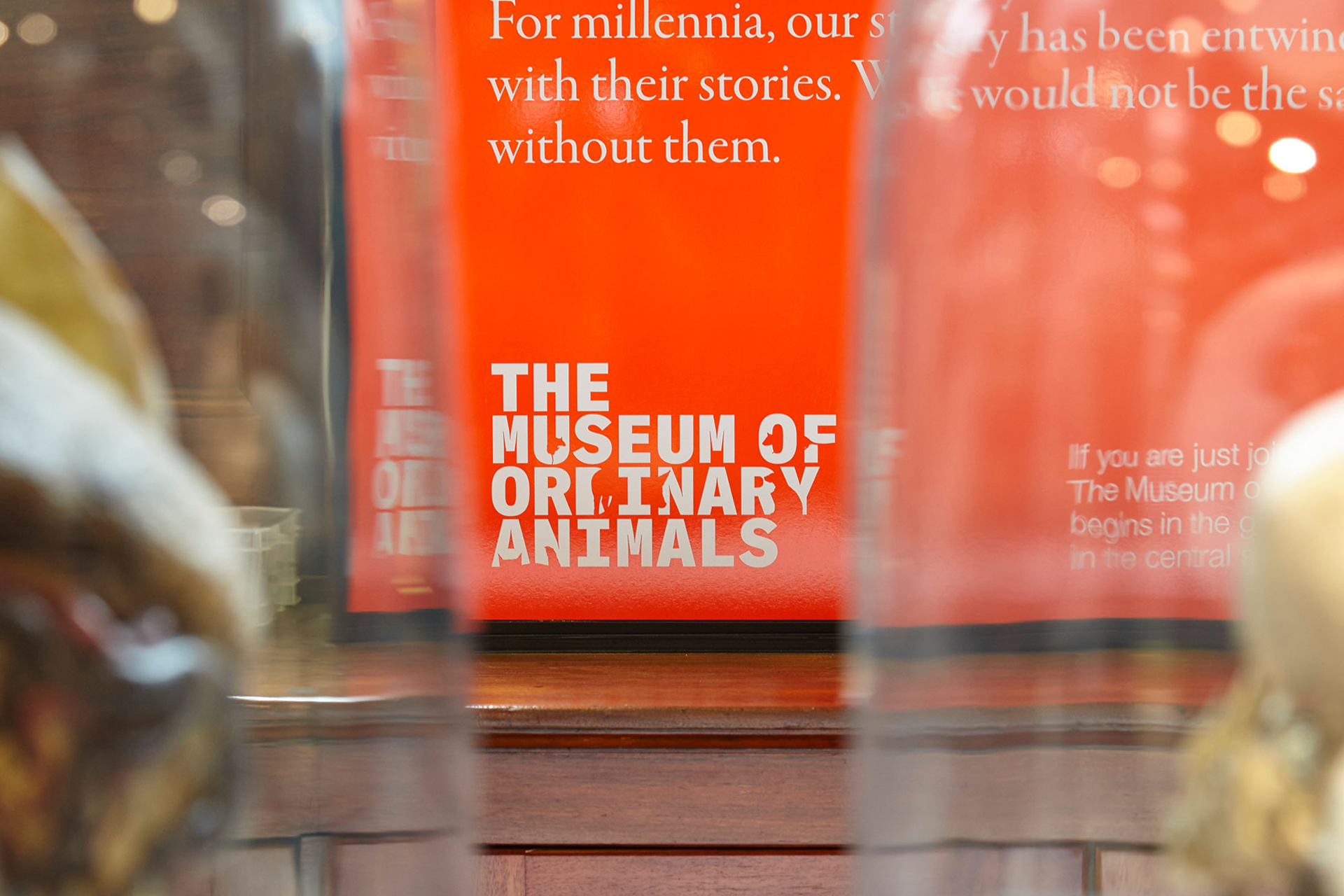 Identity for an exhibition at the Grant Museum of Zoology
