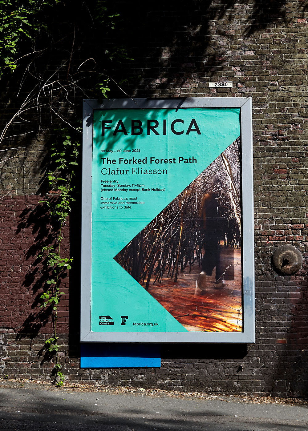 Volunteer photos by Phoebe Wingrove